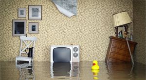 Tourism Listing Partner Insurance Yet